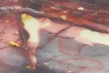Mookaite Jasper Slab (Not Polished) - Australia #141558-1